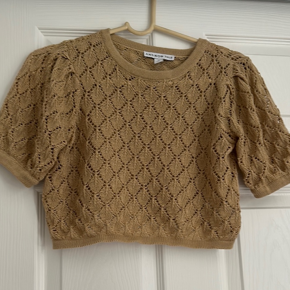 Tan Lace Knit Top